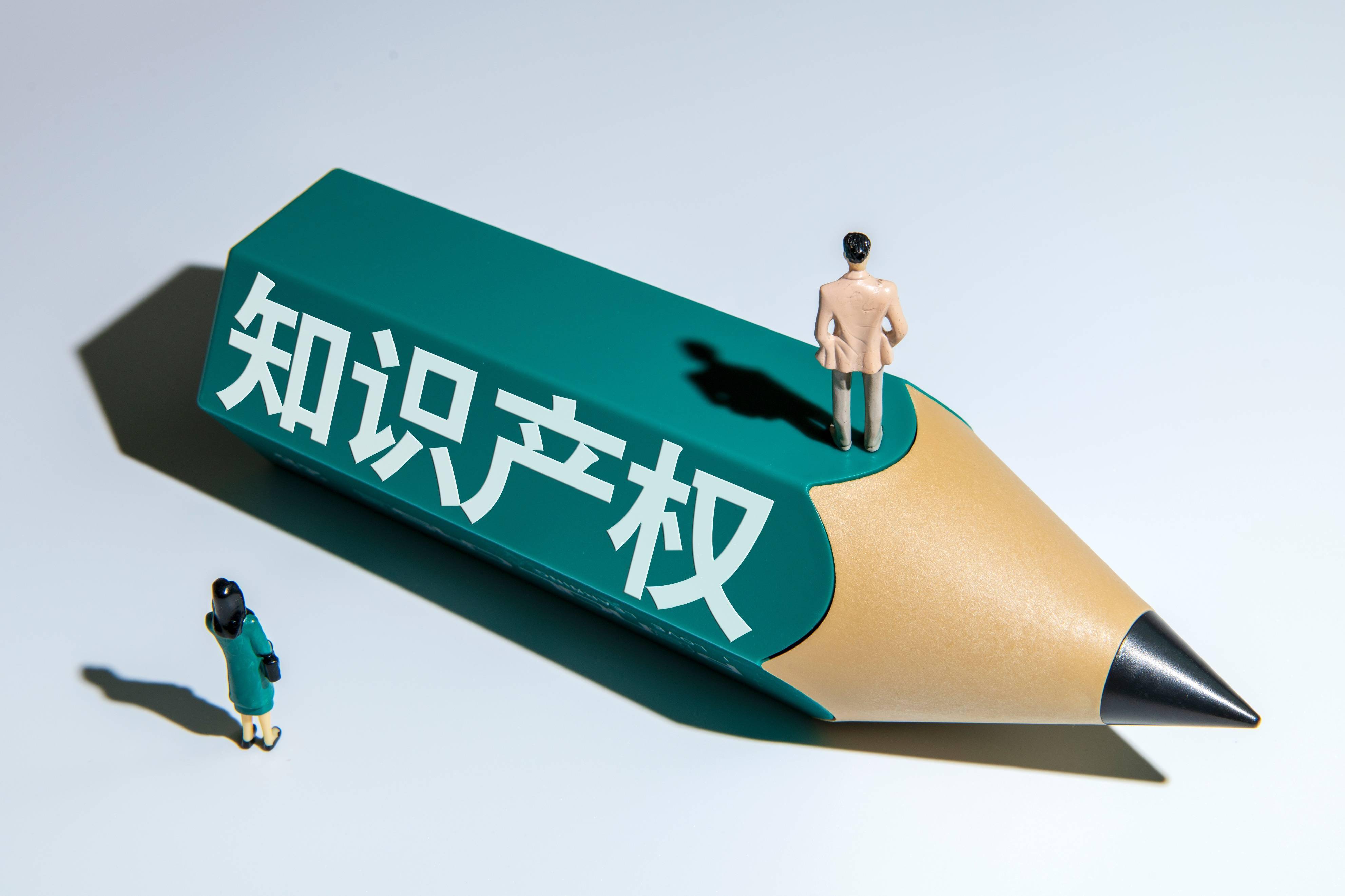日照知识产权